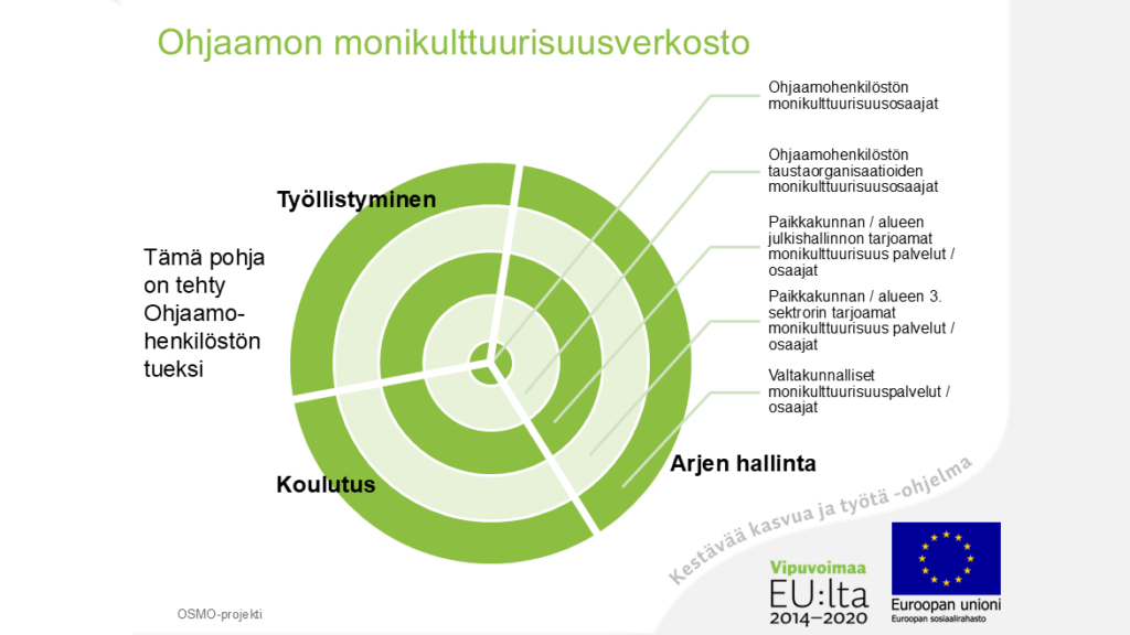 Verkostokartan keskellä Ohjaamohenkilöstön monikulttuurisuusosaajat, sen ulkopuolella taustaorganisaatioiden monikulttuurisuusosaajat, sitä kiertää paikkakunnan ja julkishallinnon tarjoamat monikulttuurisuuspalvelut, lisäksi ovat 3. sektorin tarjoamat palvelut ja osaajat sekä valtakunnalliset palvelut ja osaajat. Verkostokartassa toimijat voi asettaa kolmelle ympyrän sektorille: työllistyminen, koulutus, arjen hallinta.